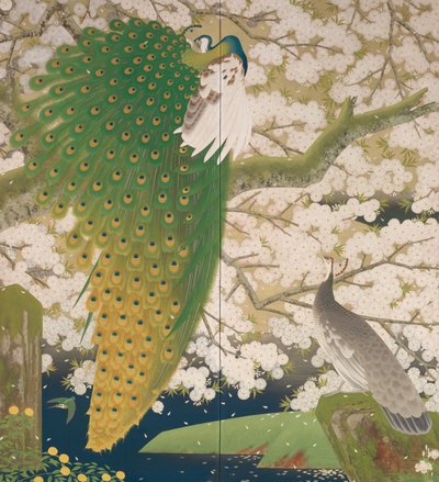 Peacocks and Cherry Tree, c.1925 by Japanese School